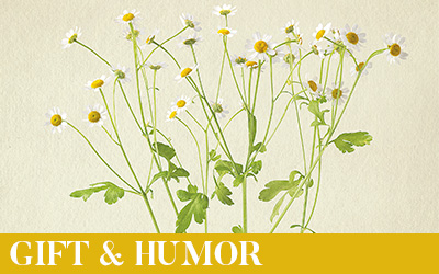 Gift & Humor